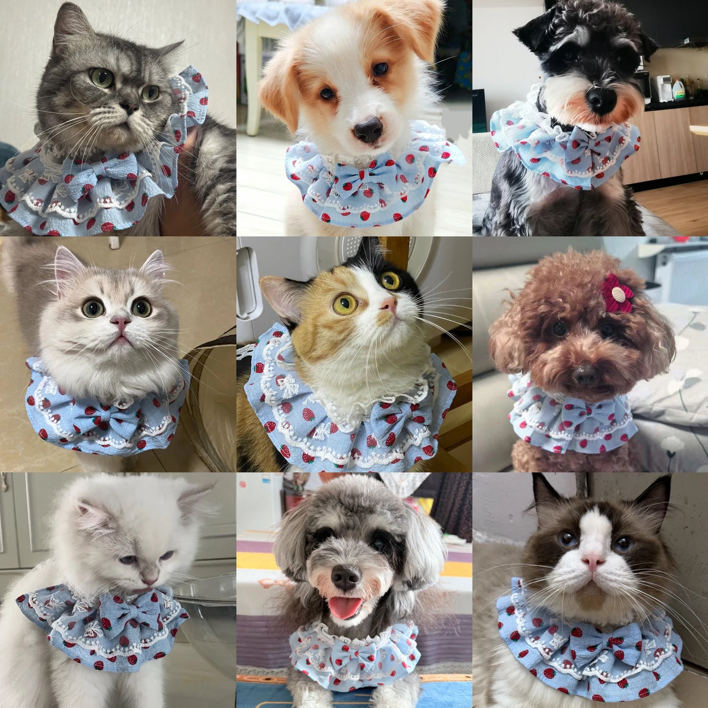 Strawberry Print Lace Pet Bandana