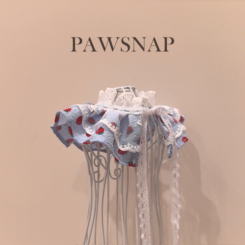 Strawberry Print Lace Pet Bandana