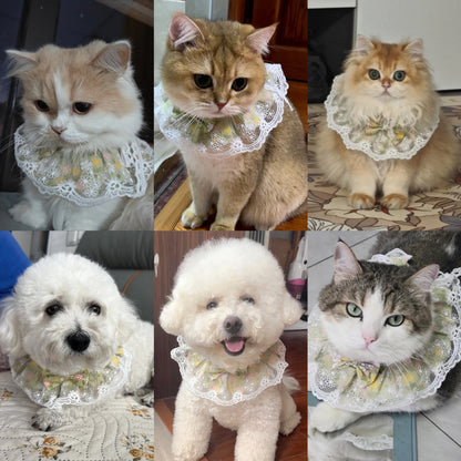 Green Floral Lace Pet Bandana