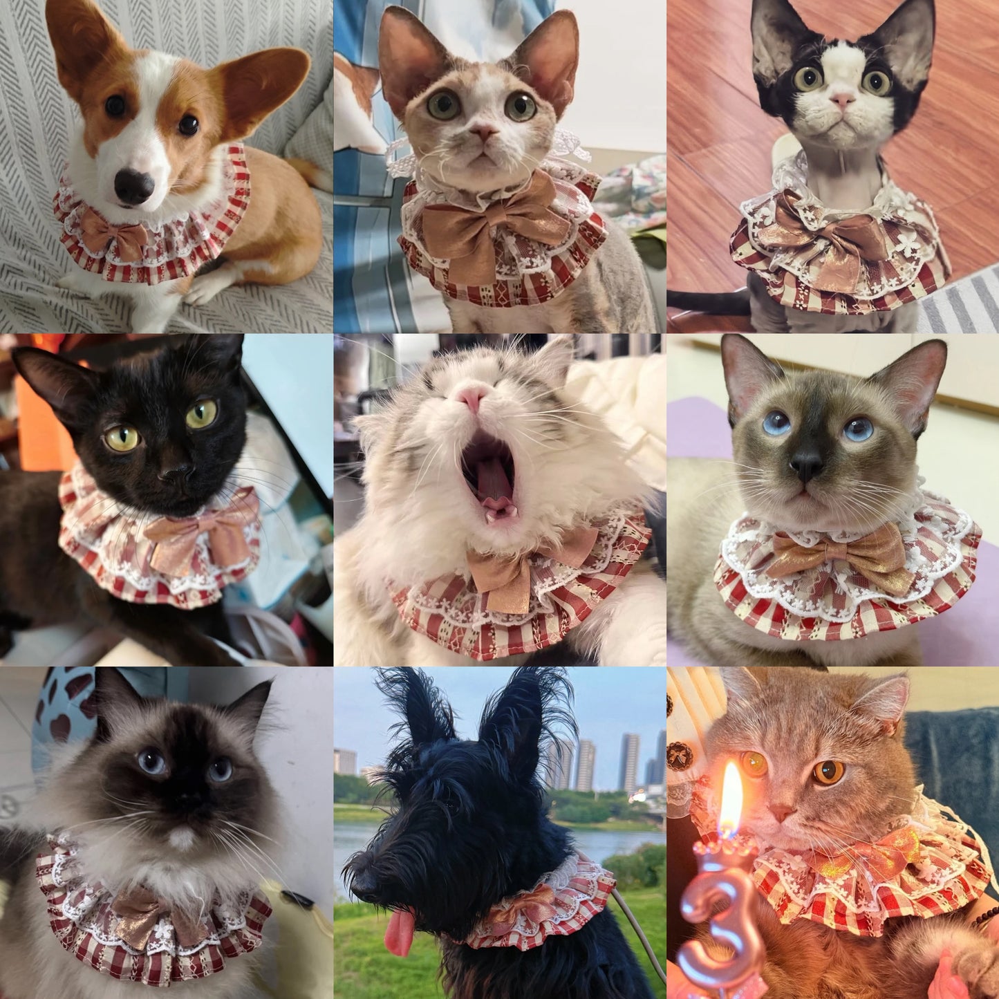 Pink Plaid Lace Pet Bandana