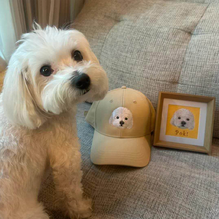 Adorable maltese with custom embroidered hat and framed portrait art - customer review