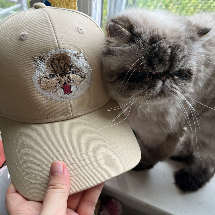 Fluffy Persian cat next to custom embroidered pet portrait hat - customer review 