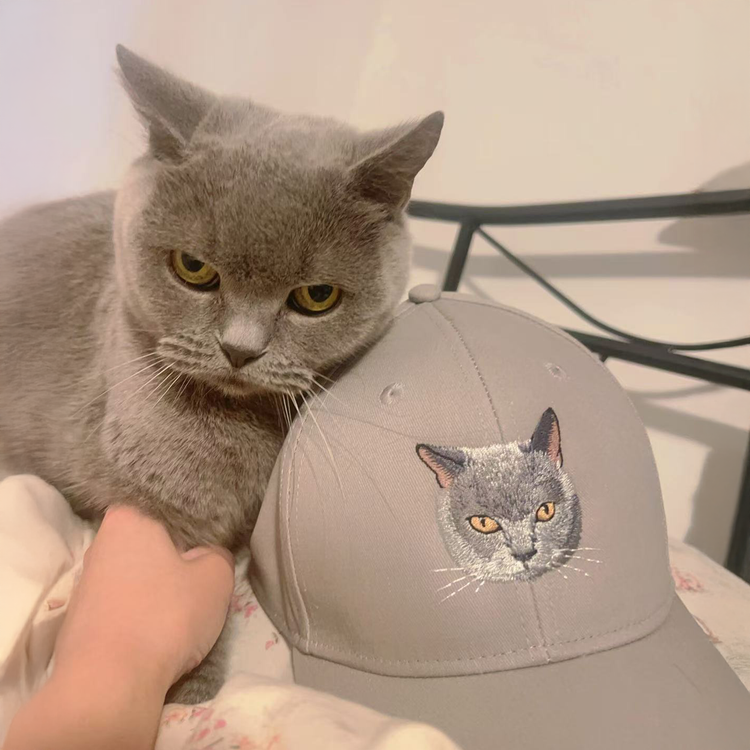 ray British Shorthair cat with custom embroidered portrait hat - customer review