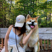 Smiling corgi dog posing with pet owner on wooden deck - happy customer review photo