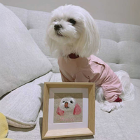white Maltese dog with custom embroidered portrait framed art - customer review 