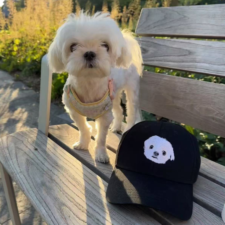 Adorable white Maltese dog on park bench with custom embroidered portrait hat at sunset - customer review